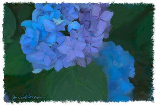 %_tempFileNamehydrangea%