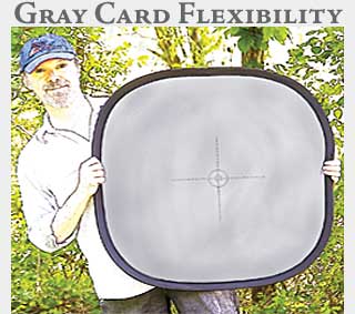 M2 Online Learning Gray Card