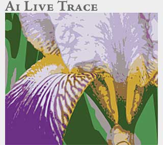 M2 Online Learning Adobe Illustrator Live Trace