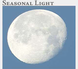 M2 Online Learning Seasonal Light