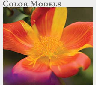 M2 Online Learning Color Models