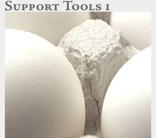 M2 Online Learning Support Tools 1