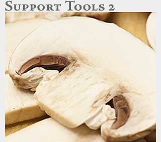 M2 Online Learning Support Tools 2