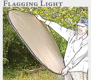 M2 Online Learning Flagging Light