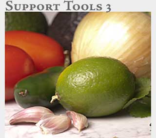 M2 Media Online Learning Support Tools 3