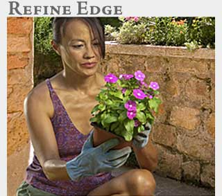 M2 Media Online Learning Photoshop Refine Edge