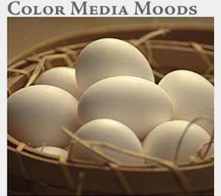 M2 Media Online Learning Color Media Moods