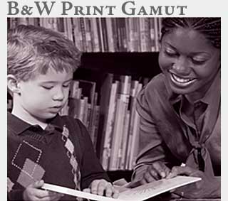 M2 Media Online Learning B&W Print Gamut