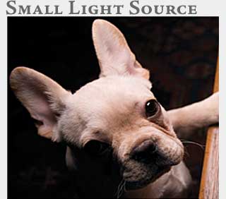 M2 Media Online Learning Small Light Source